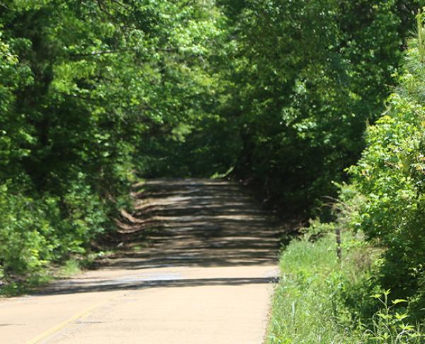 Champion Hill Battle Facts and Summary American Battlefield Trust